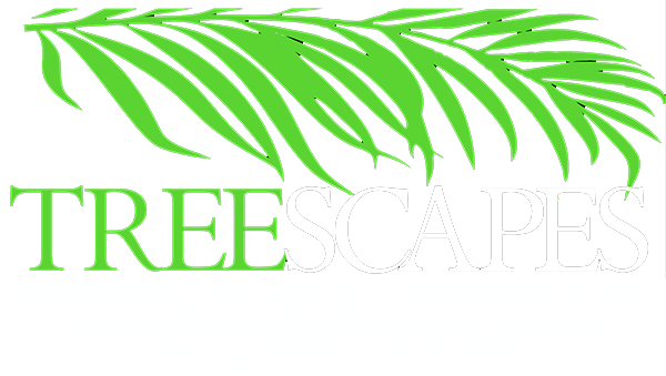 Treescapes